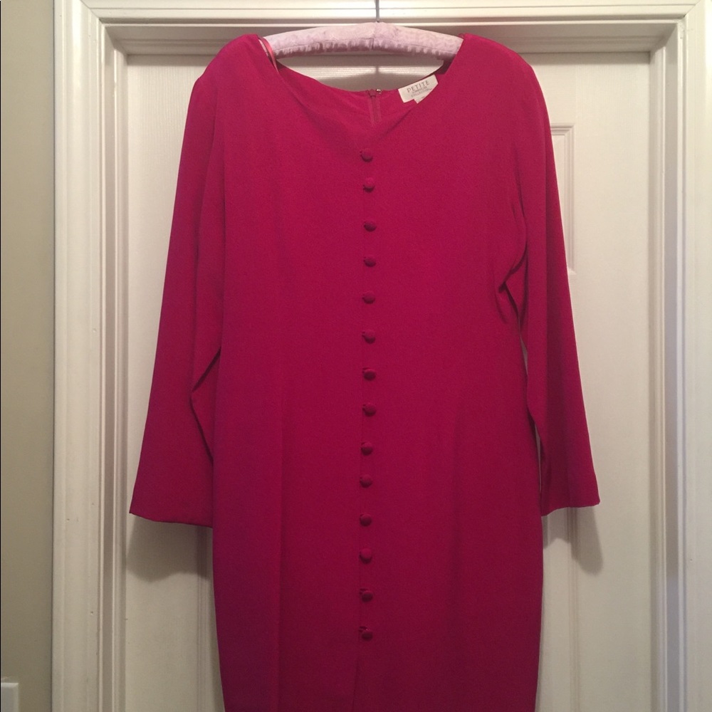 Petite Sophisticate 100% Silk LS Cocktail Dress 12